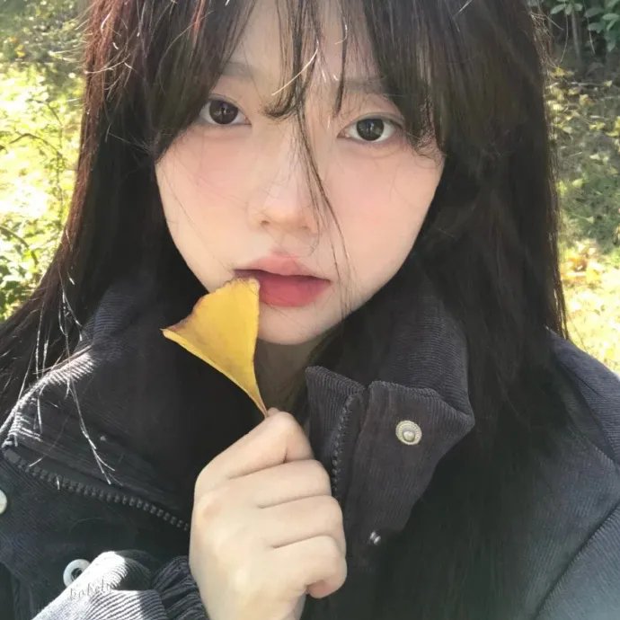 菊石海报