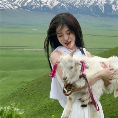 一位陌生女子的来信海报